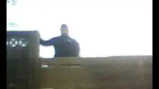 Piedone de Romania sare gardul