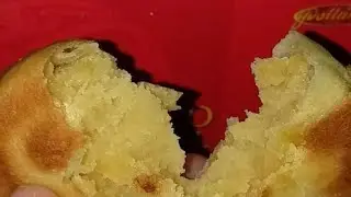 Polland Hopia