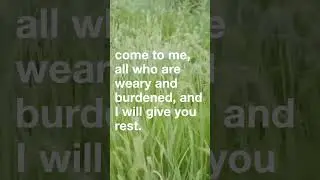 Pray This for Rest and Trust | Releasing Control to God