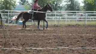 Sad Horse Story