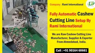 Fully Automatic Cashew Cutting Line🔹Raw Cashew Nut Cutting Machine🔸Cashew Cutting Line Manufacturer