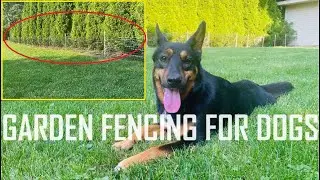 Effective Garden Fencing Ideas for Dogs?