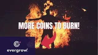 EVERGROW COIN WILL START BURNING MORE COINS!!!