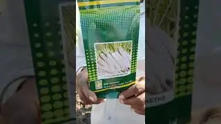 Fraud company cheated with this fake seed please don't buy this seed  thanks#sarjit ram bains