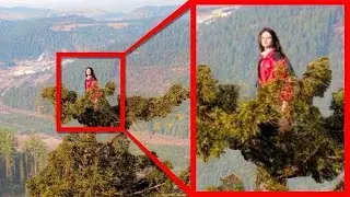 When One Girl Lived In A Tree For 2 Whole Years