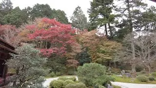 Shisendo Temple 詩仙堂
