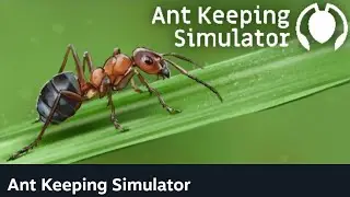 Ant Keeping Simulator | PC gameplay 4K