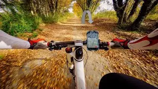 Top 5 best bike phone mount 2024