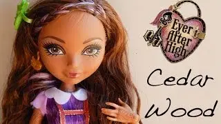 Cedar Wood Ever After High Review