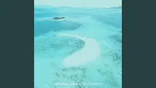 Magnificent Pop Sax Solo - Vibe for Summertime Vibes