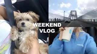 VLOG: puppy training & first weekend of fall!