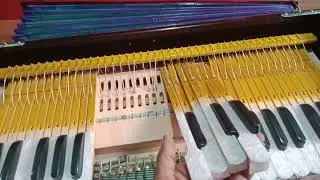 harmonium repairing servicing tuning course now all in one once visit by self