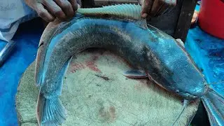 Professional King Fish Cutting Skills in [Local Market 