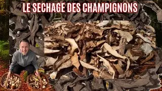 Le séchage des champignons : les cèpes déhydratés.