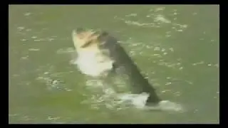 Honkakuha Bass Fishing Game - Lake Masters (Japan) PSX Intro