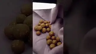 BOUILLETTES MAISON quand t'es content du r&eacute;sultat #carp #fisherman #p&ecirc;che #bouillettes #carpfishing