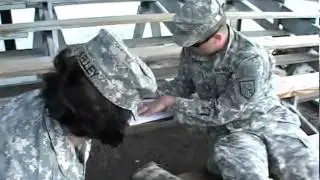 Guard MPs test endurance, combat abilities