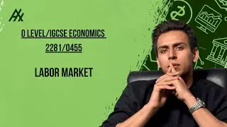 O Level/IGCSE Economics 2281/0455 l Labor Market