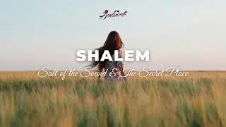 Salt of the Sound & The Secret Place - Shalem [ambient vocal meditation]