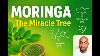 Chemistry & Health Benefits of Moringa Tree Explained