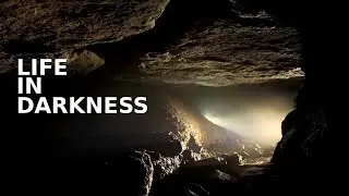 Shaped by Stone | Evolution in Eternal Darkness