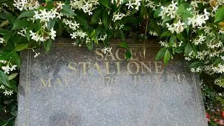 Actor Sage Stallone Grave Westwood Memorial Park Los Angeles California USA June 18, 2024