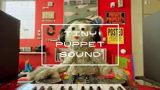 TPS // Red Room Series Vol.01 / French House Mix / DJ MAD MAESTRO (매드 마에스트로)