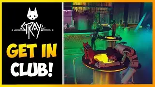 Stray - How To Get Into The Club (Nightclub Guide Walkthrough)