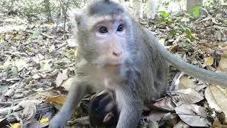Happy When I Go to Angkor Temple!