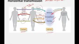 Virus Transmission (and Tissue Tropism)