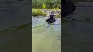 Ada SUNGAI KUNING TERSEMBUNYI DI KOTENG🙀??????!!!!??