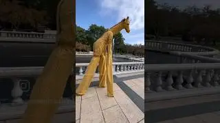 Custom Stilting Giraffe MET Group