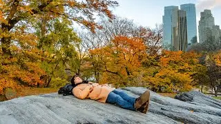 when New York stops