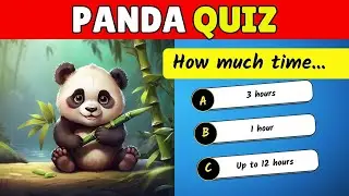 How good is your Panda Knowledge? 8 interesting facts | Magic Kids Quiz