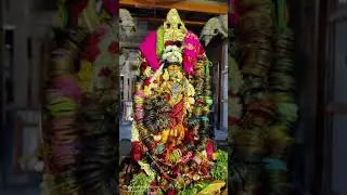 ஆடிப்பூர திருவிழா நான்காம் திருநாள் அருள்மிகு நெல்லையப்பர் காந்திமதி அம்பாள் திருக்கோவில்