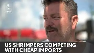 Will Trump's tariffs help shrimping industry?