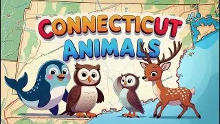 Sing Around the States: Cute Animals of Connecticut! | Toddler Song & Animation