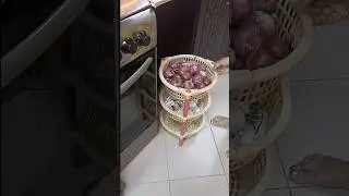 #shorts useful kitchen tips  #youtubeshorts #kitchentips #homemakingtips  #shortvideo #kitchen