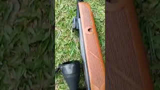 Gamo Hunter Air Rifle  #airpistol #airgun #airrifleshooting #shorts