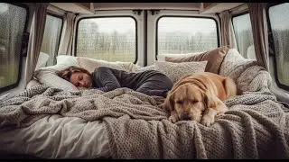 Rainy Cozy Camper Vibes | Gentle Sleep Ambience with Dog for Tranquility & Sweet Dreams
