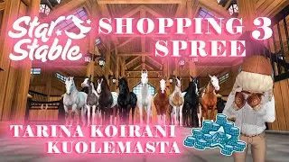 JÄTTI SHOPPING SPREE + kuulumisia //SSO SUOMI