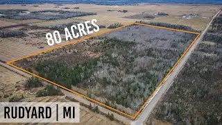 $89,900 | 80 Acres | W Ploegstra Rd, Rudyard, MI - Brendon Delger Michigan Real Estate