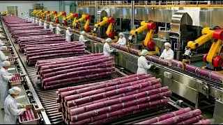 From Sugarcane to Sugar, Ethanol, and Paper : The Production Journey Inside a Modern Factory