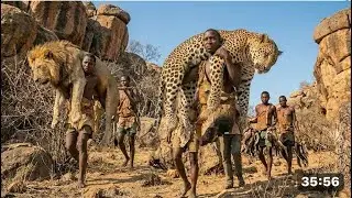 Africa jungle discovery video #trivenisangam #cozy #cozyambience #viral #4kfullscreenstatus 