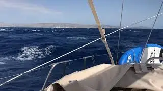 Winsome surfing the waves - Southern Sicily Oct 2020