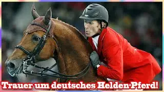 Trauer um ein deutsches Helden-Pferd – Drama im Reitspor