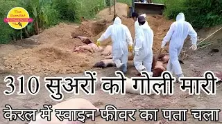 African Swine Fever (ASF) detected in Kerala | Current Affairs 2024 | 310 सूअरों को गोली मारी |