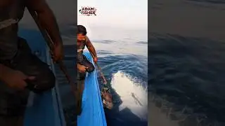INSANE! A MONSTER TUNA Almost Stole My Catch #shorts #fish #fishing #trending #amazing #viralvideo