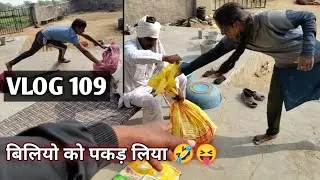 पापा ओर दीदी ने बिल्लियों को पकड़ लिया 🤓🤣 daily vlog challenge703 din tk VLOG 109