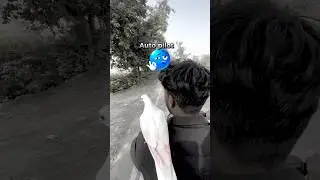 режим автопилота